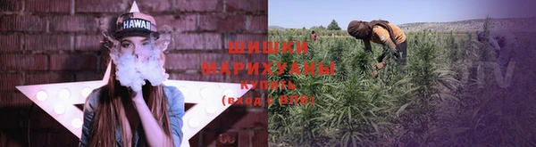 2c-b Алзамай