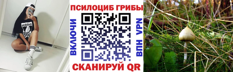 Галлюциногенные грибы мицелий Грязовец